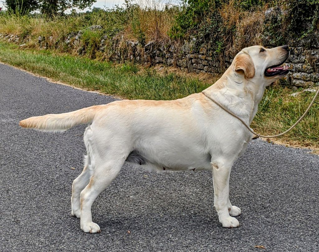 Onolulu du pré de l'égvonne
