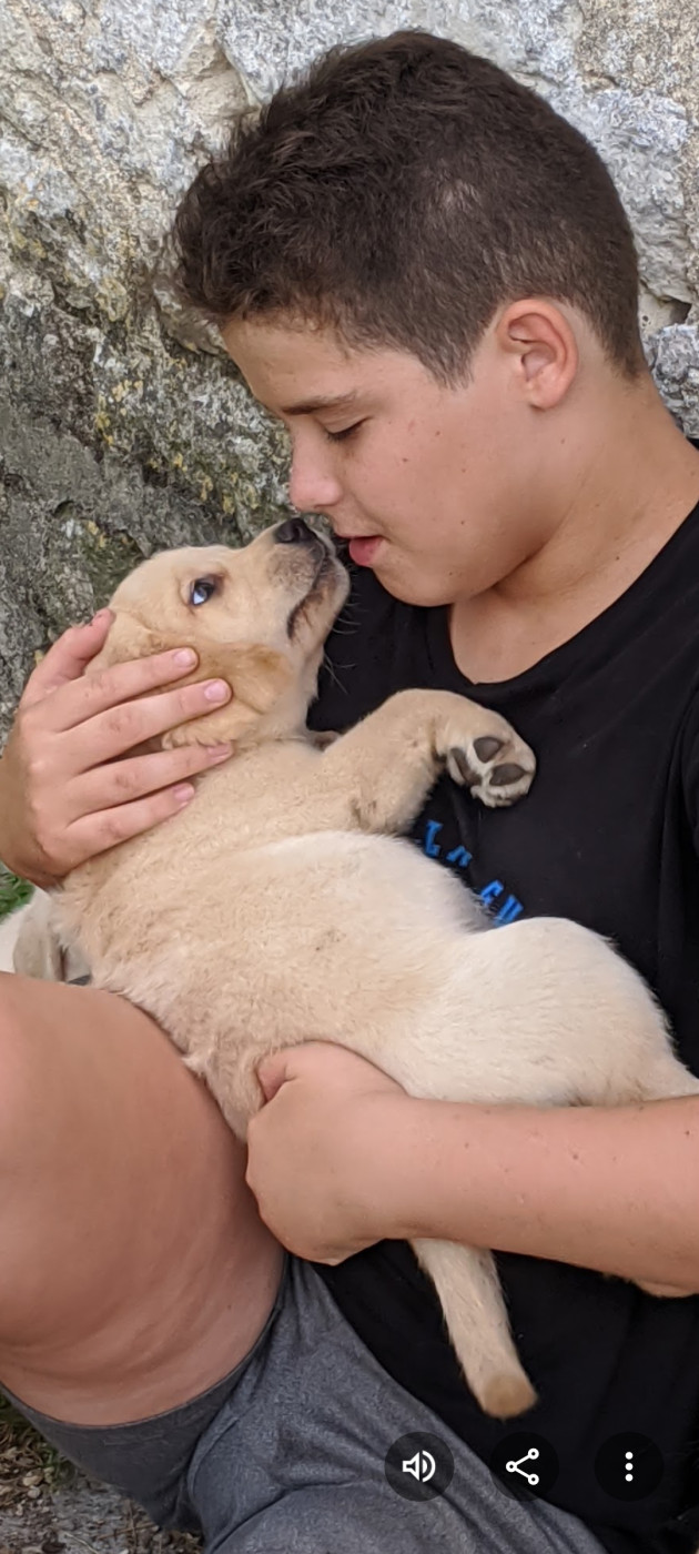 Prochaine portée ce printemps