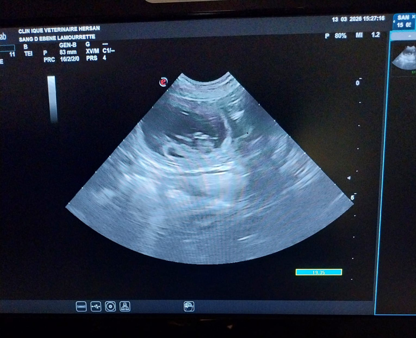 Prochaines naissances Mars /Avril